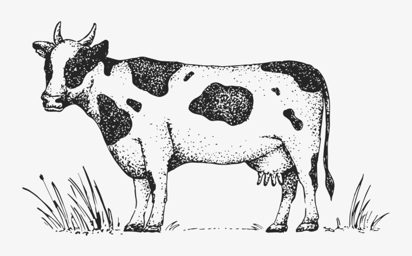 Farmers Tractor Market Logo, transparent png download