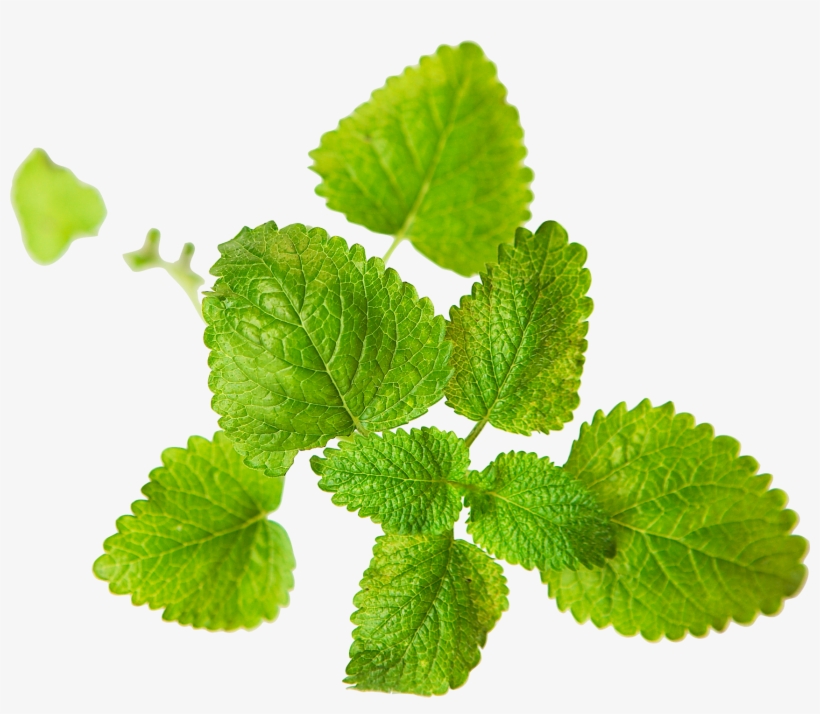 Fruit Graphic Design Vegetable Wallpaper - سبزی اماده کارت ویزیت, transparent png download