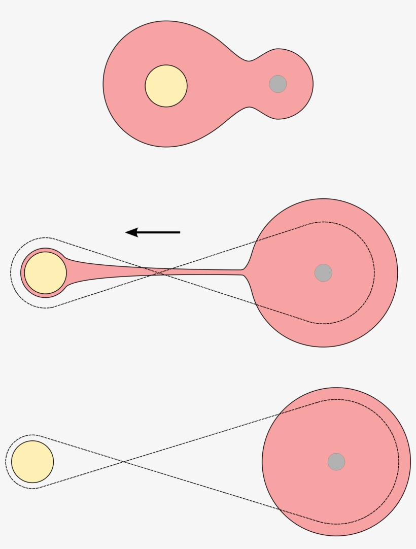Star Fission Common Envelope - Circle, transparent png download