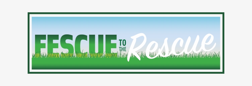 Tco-fescuetotherescue - Graphic Design, transparent png download