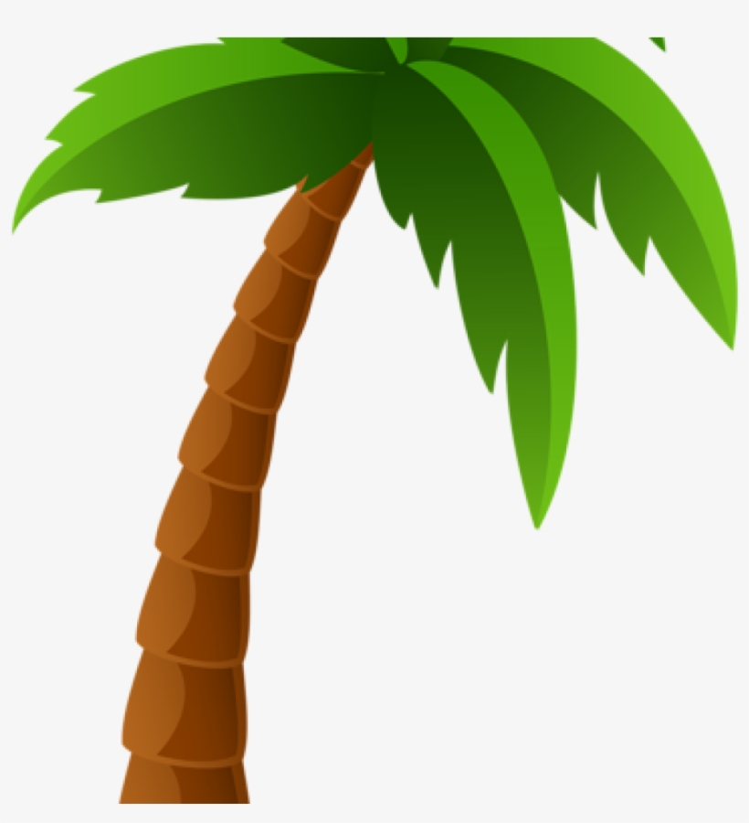 Palm Clipart Balloon Clipart Hatenylo - Tropical Tree Png Clipart, transparent png download