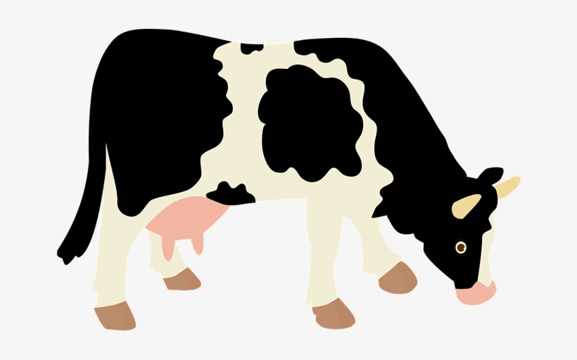 Cow With No Background, transparent png download