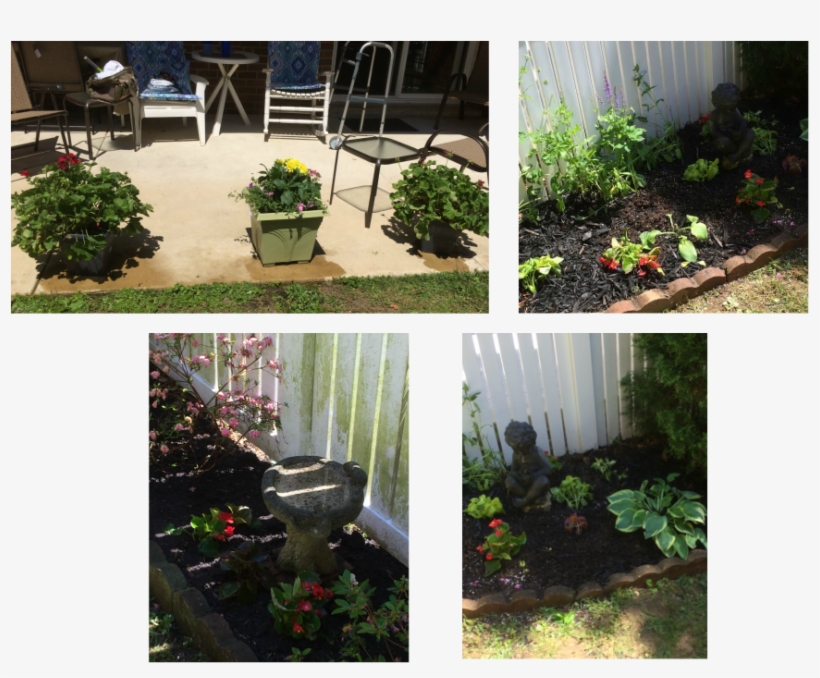 Picture - Backyard, transparent png download