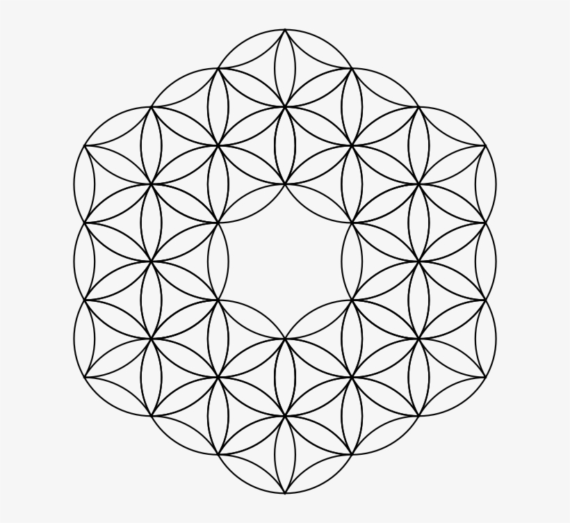 Medium Image - Flower Of Life Png, transparent png download