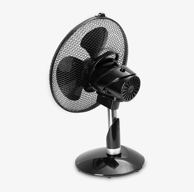 Ecg Ft - Ecg Ft 33, transparent png download