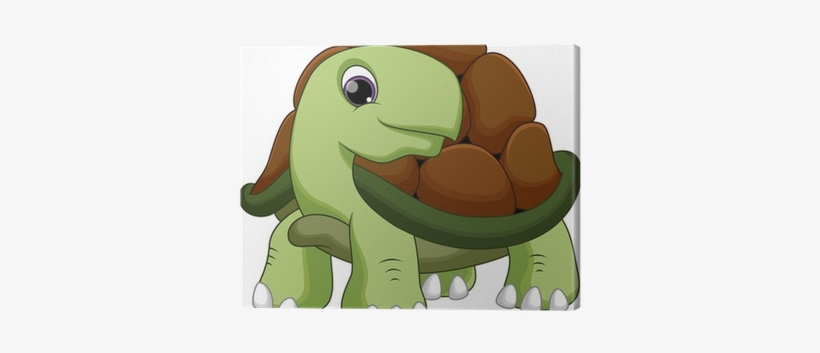 Turtle, transparent png download