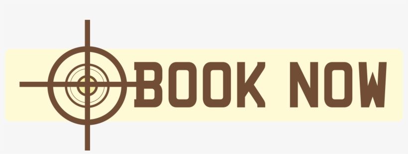Book Now - News, transparent png download