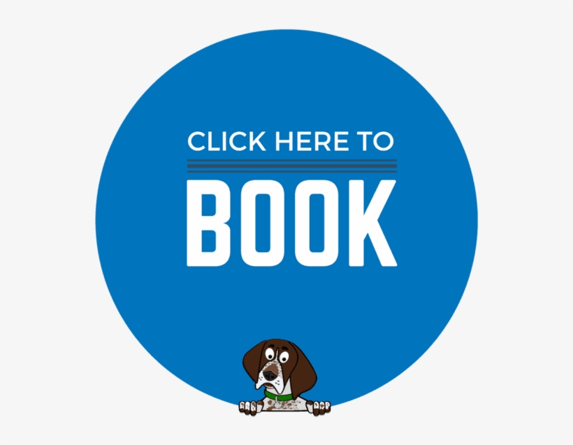 Book Now Button - Steve Gates The Negotiation Book, transparent png download