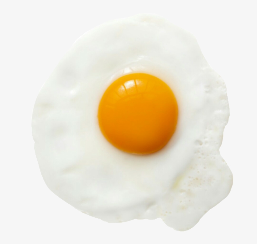 Egg Interesting Cute Freetoedit Tumbler Eggs - Egg Transparent, transparent png download