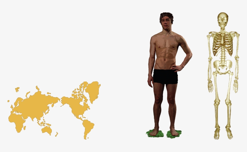 Human, transparent png download