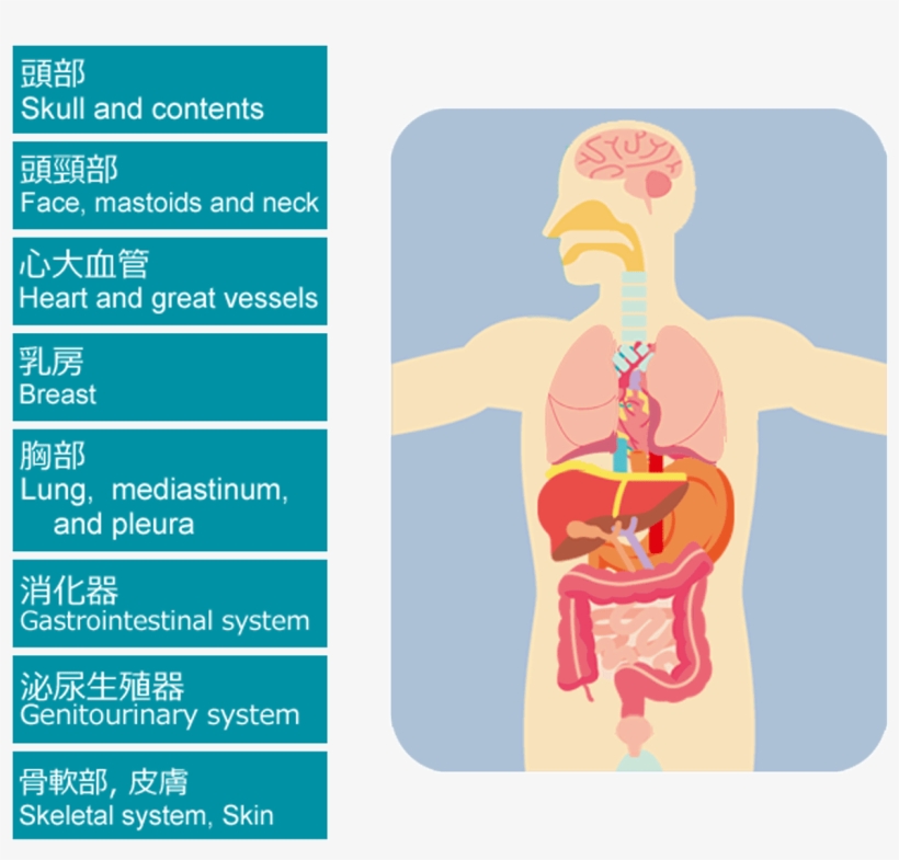 Graphic Design, transparent png download