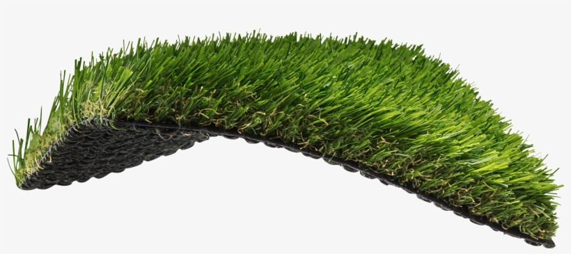 South Atlantic Inspired - Sweet Grass, transparent png download