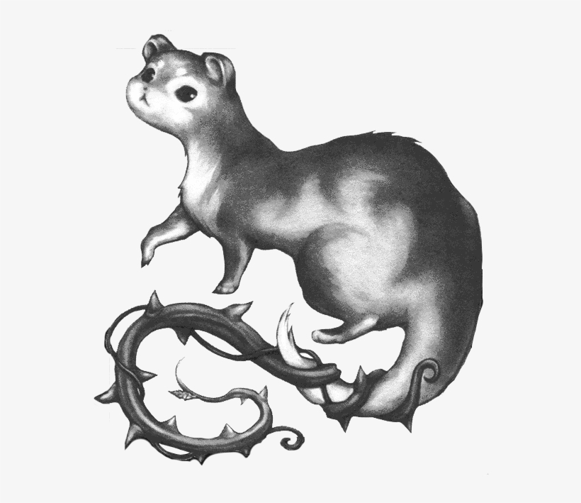 Brier Weasel - Weasel Png, transparent png download