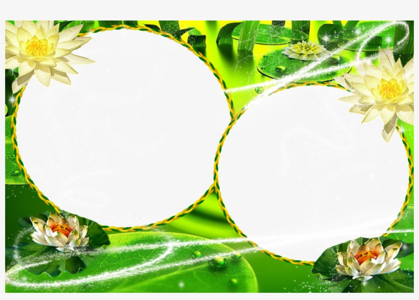 Photo Frame Of Lotus Flower This Graphics - Green Nature, transparent png download