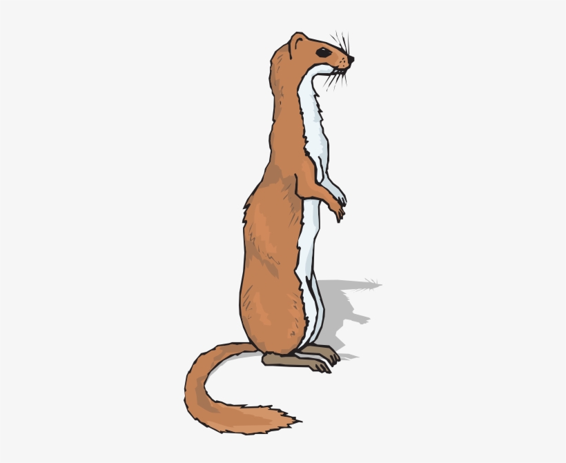 How To Set Use Brown Standing Ferret Svg Vector, transparent png download