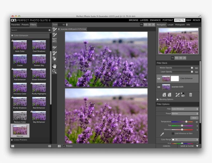 Sometimes A Photo Just Needs A Little Bit Of Warmth - Color, transparent png download