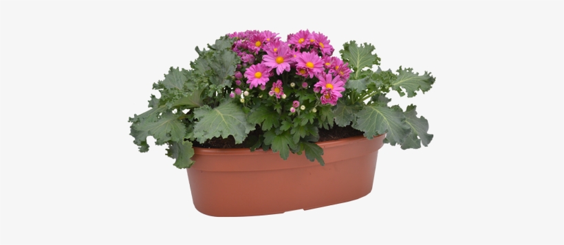 Fall Oval Planter - Flower, transparent png download