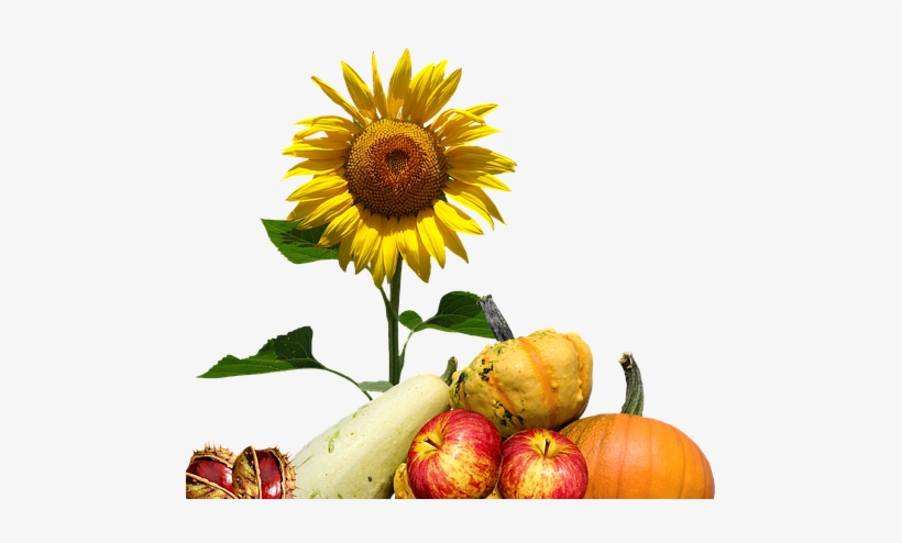 Cafepress ! Samsung Galaxy S8 Case, transparent png download