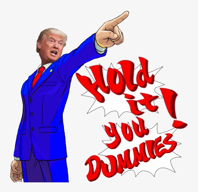 View Samegoogleiqdbsaucenao Phoenix Trump , - Portable Network Graphics, transparent png download