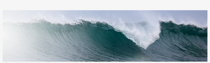 Admin - Sea, transparent png download