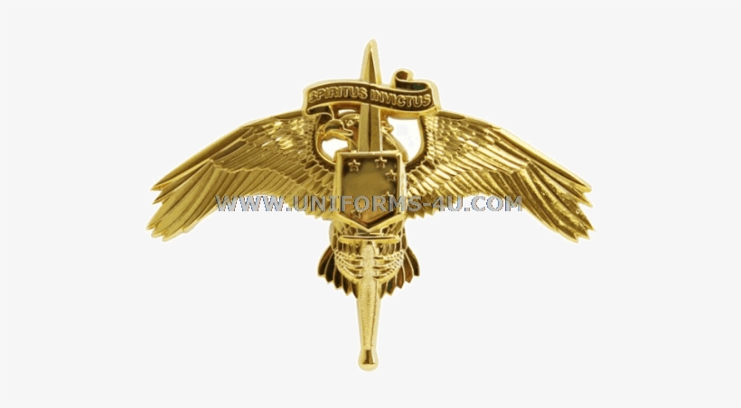 Marine Corps Raider Badge, transparent png download