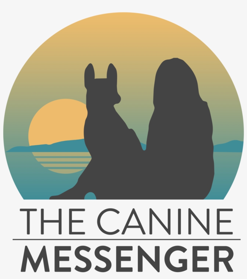 Messenger Logo Png, transparent png download