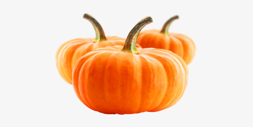 Buy Vegetable Purees Buy Fruit Purees Vegetable Purees - Pumpkin, transparent png download