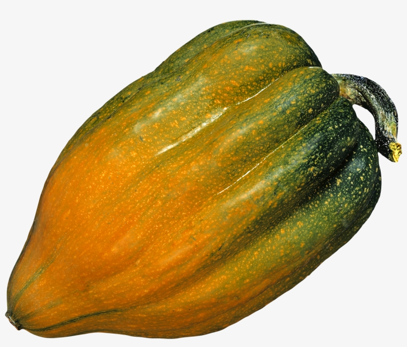 Did The Apaches Trade, transparent png download