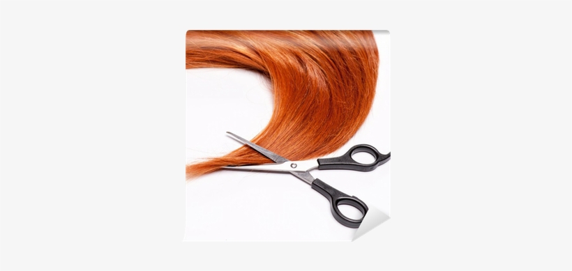 Shiny Red Hair And Hair Cutting Shears Wall Mural • - Red Hair, transparent png download