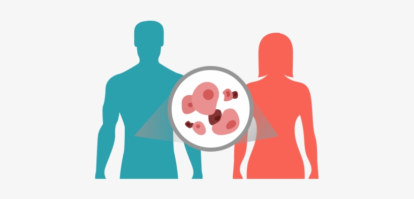 Download Png Image Report - Cancer Images Png, transparent png download