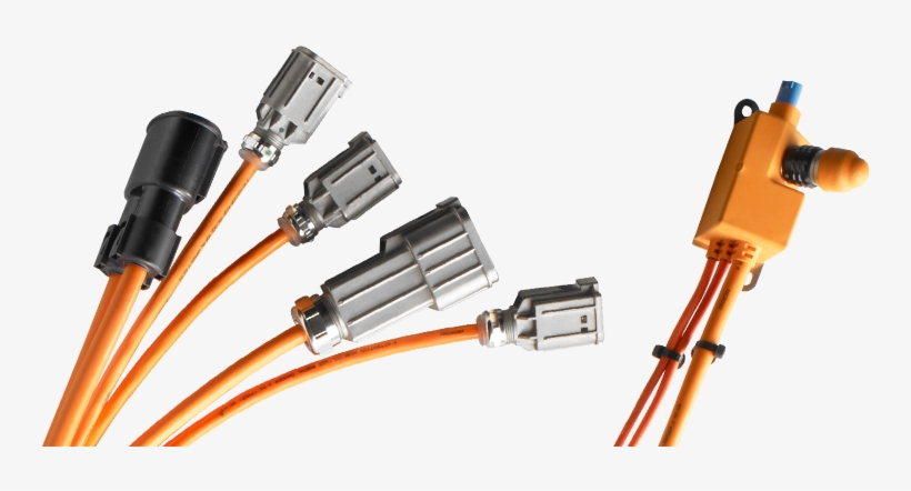 High Voltage Eds Systems - High Voltage Wiring Harness, transparent png download