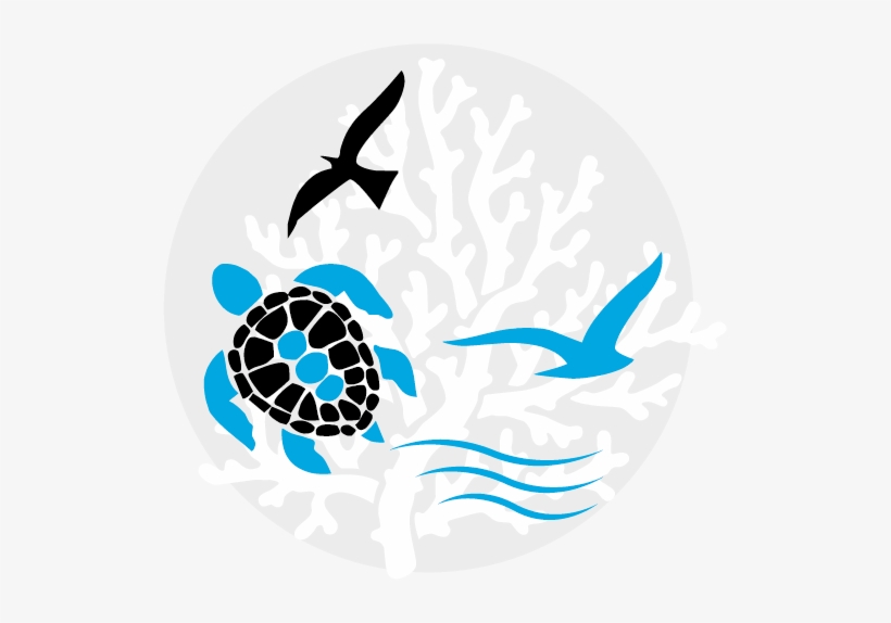 Collecting Macro Plastic Waste In High Density Areas, transparent png download