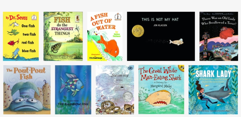 By Abigail Lynch - Shark Lady By Jess Keating & Marta Alvarez Miguens, transparent png download