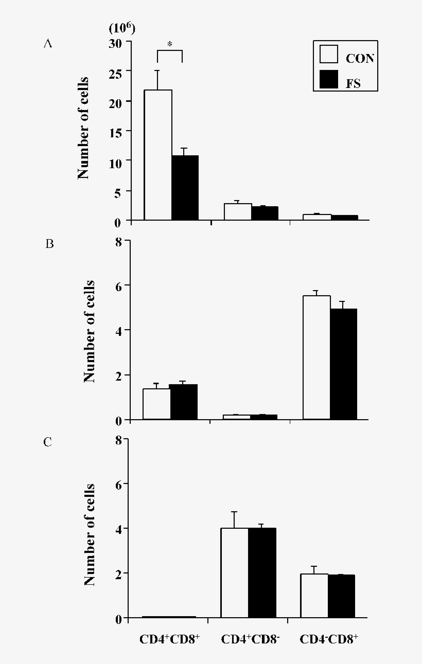 Effect Of Foot Shock Stress On The Number Of Cd4 Cd8 - Diagram, transparent png download