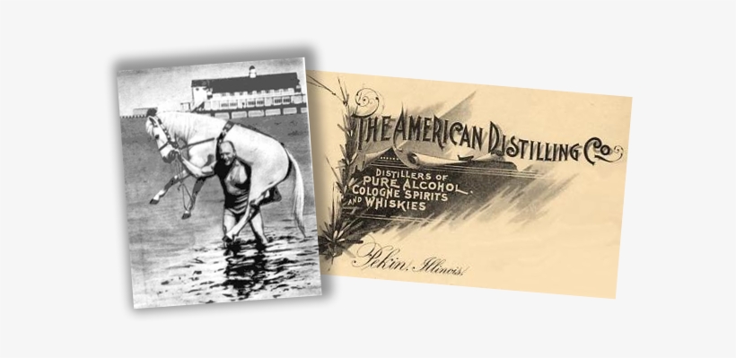 Every Summer An Annual Whiskeydaddle Festival Was Held - Stallion, transparent png download