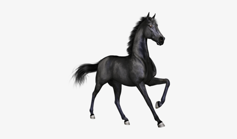 Black Horse Png, transparent png download