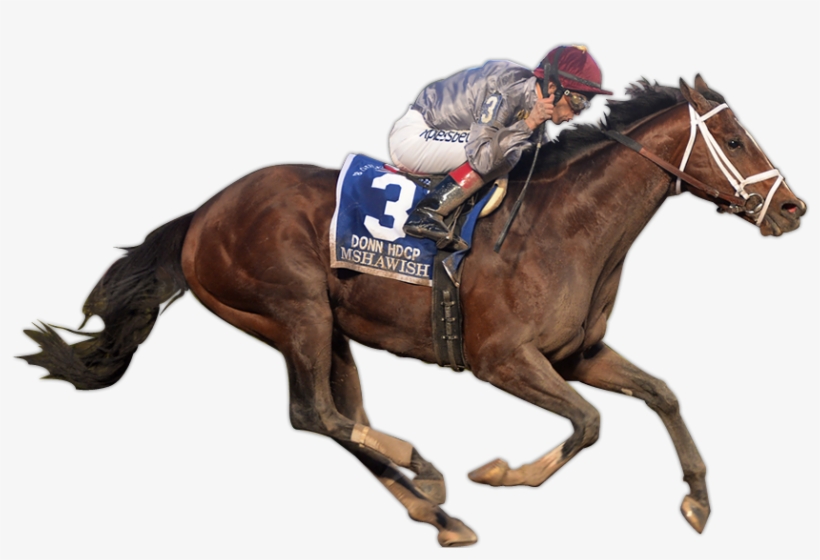 Mshawish Wins The G1 Donn Handicap - Ridden Horse Cutout Png, transparent png download
