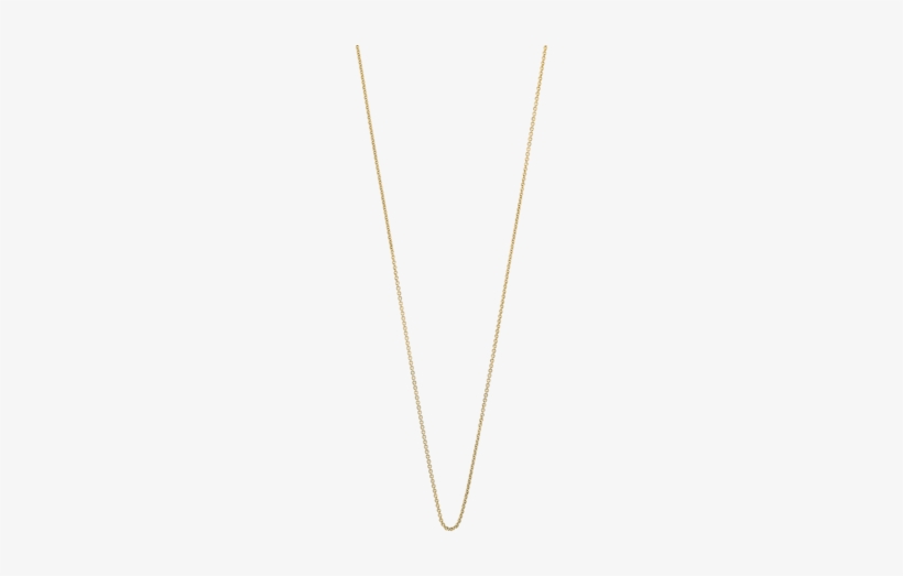 14k Solid Fine Chain - Kate Spade Circle Necklace, transparent png download