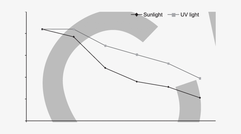 Effect Of Light And Duration Of Exposure On Afb1 Content - Diagram, transparent png download