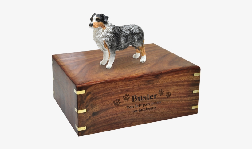 Australian Cattle Dog Clipart Australian Shepherd - Dog, transparent png download