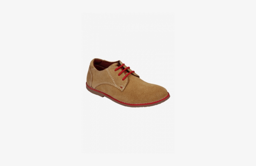 Beanz Boys Casual Lace Up Shoe - Shoe, transparent png download