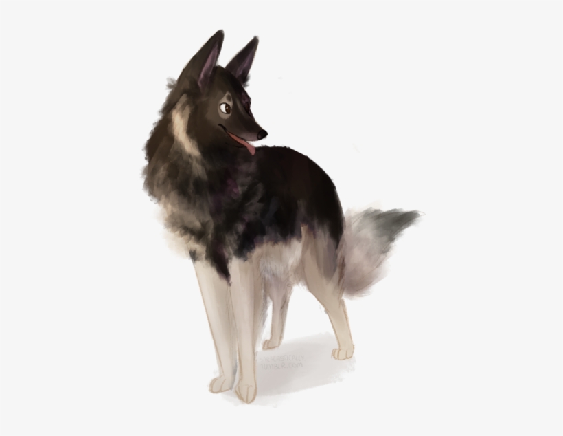 Tyson The Shiloh Shepherd For Tyson On My Mind Shilohs - Dog Catches Something, transparent png download