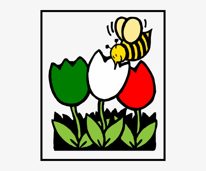 Honey Bee Pictures Colouring Pages, transparent png download