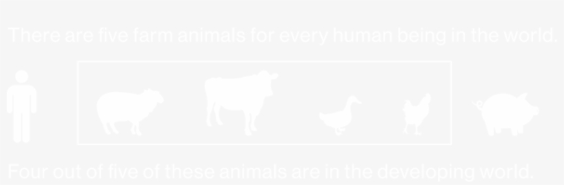 Collaborating For Success - Duck, transparent png download