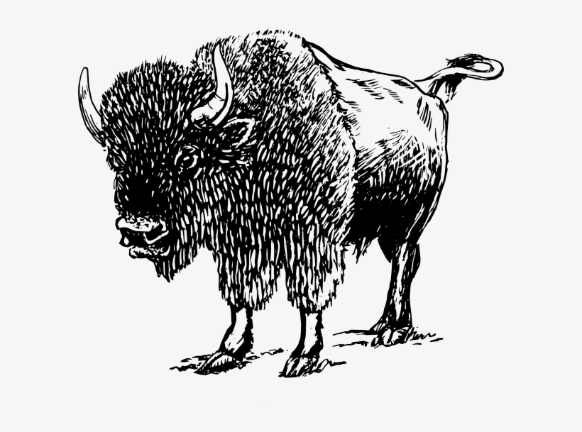 Farm Animals Printables - Bison Black And White Png, transparent png download