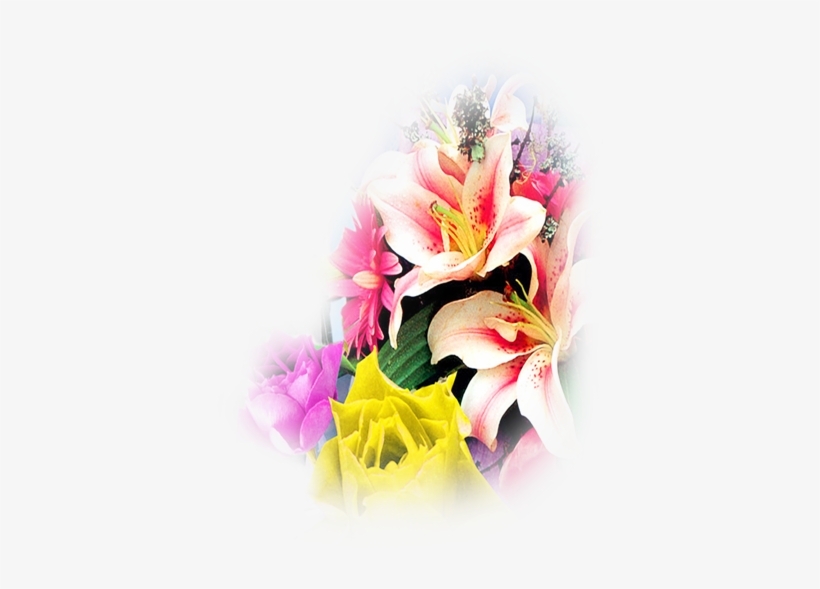Go To Image - Peruvian Lily Transparent PNG - 1024x768 - Free Download