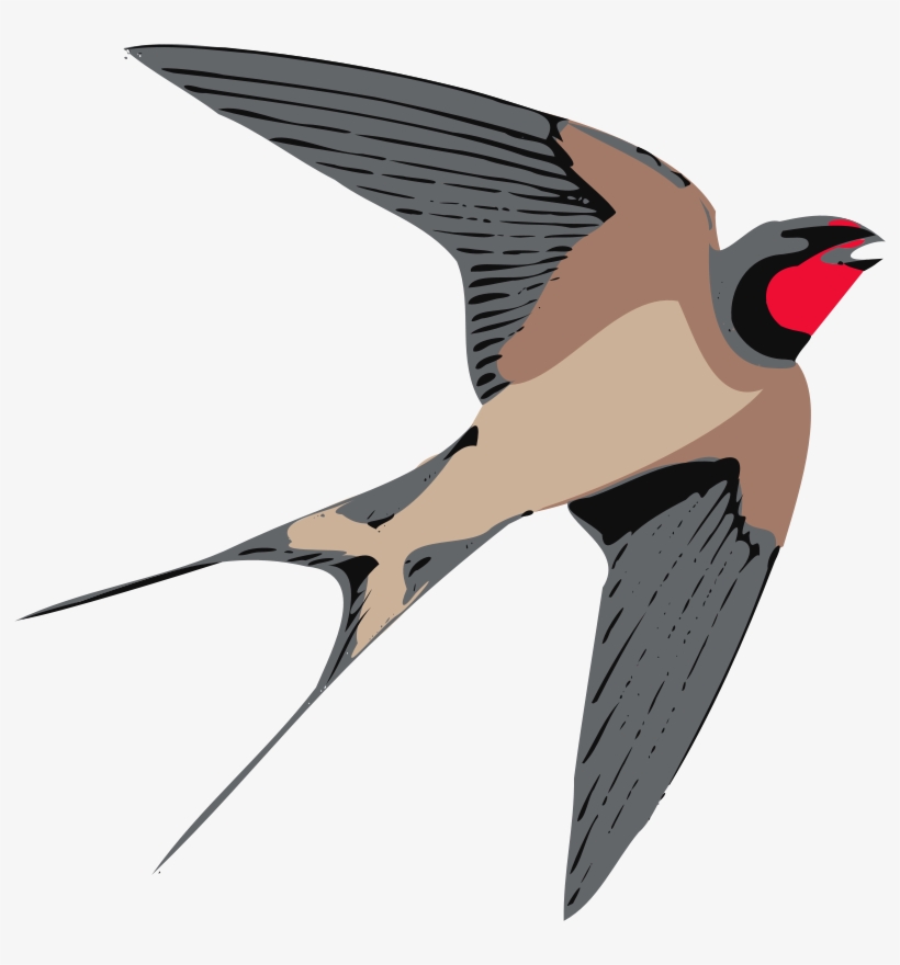 Sparrow Png Free Download - Swallow Clip Art, transparent png download