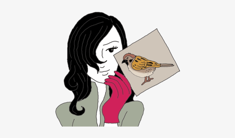 Sparrow - Meaning, transparent png download