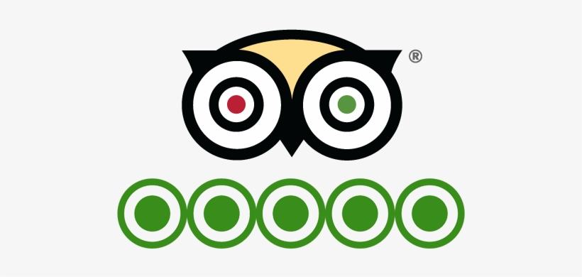 Tripadvisor - Trip Advisor Circles, transparent png download