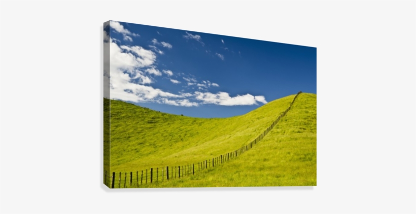 Wooden Fence Posts Running Through A Grassy Field - Wall, transparent png download